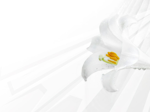 1754080 (a): :1920x1440